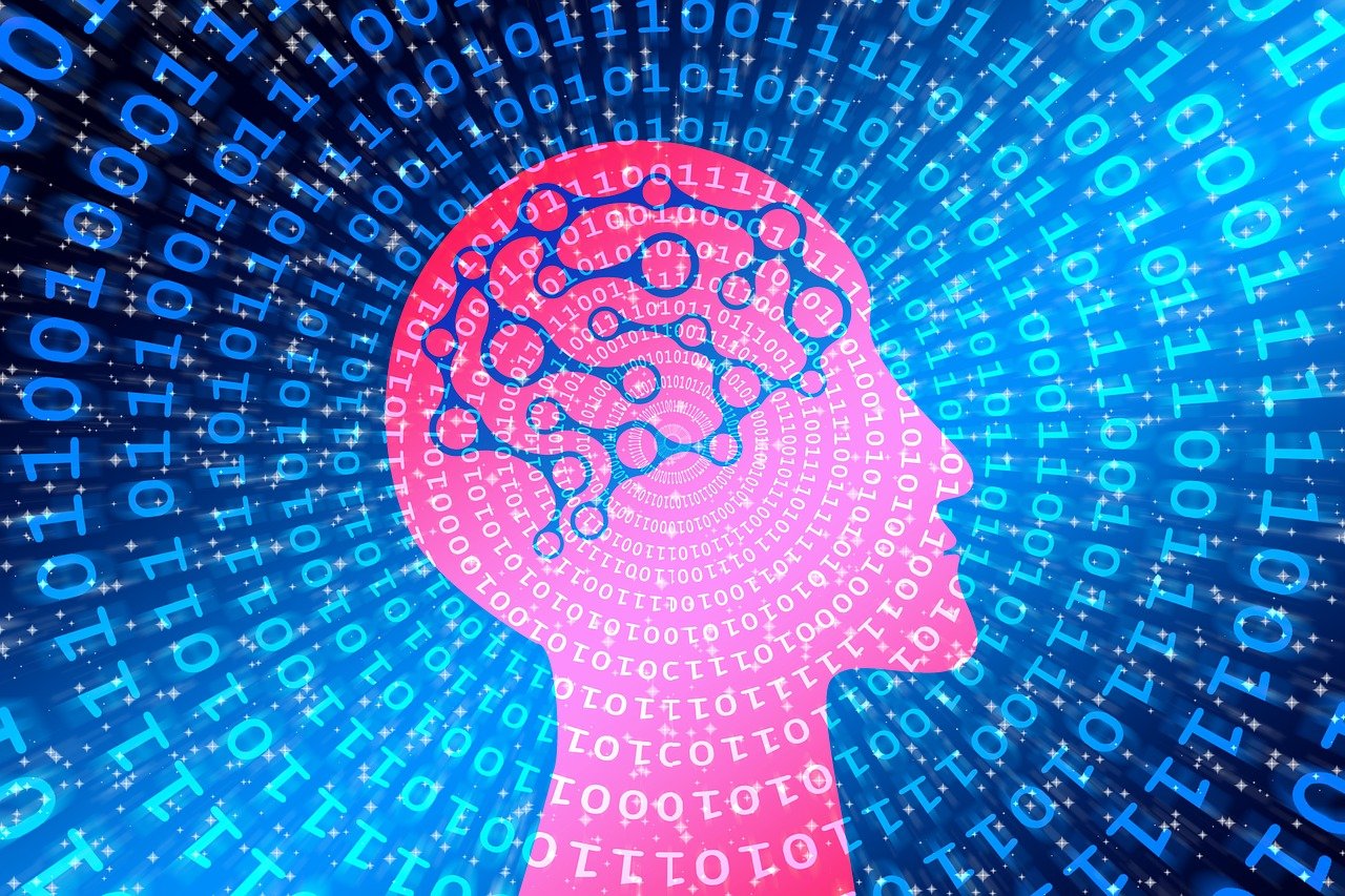 2025年澳门管家婆三肖100%，未来博彩业的新篇章