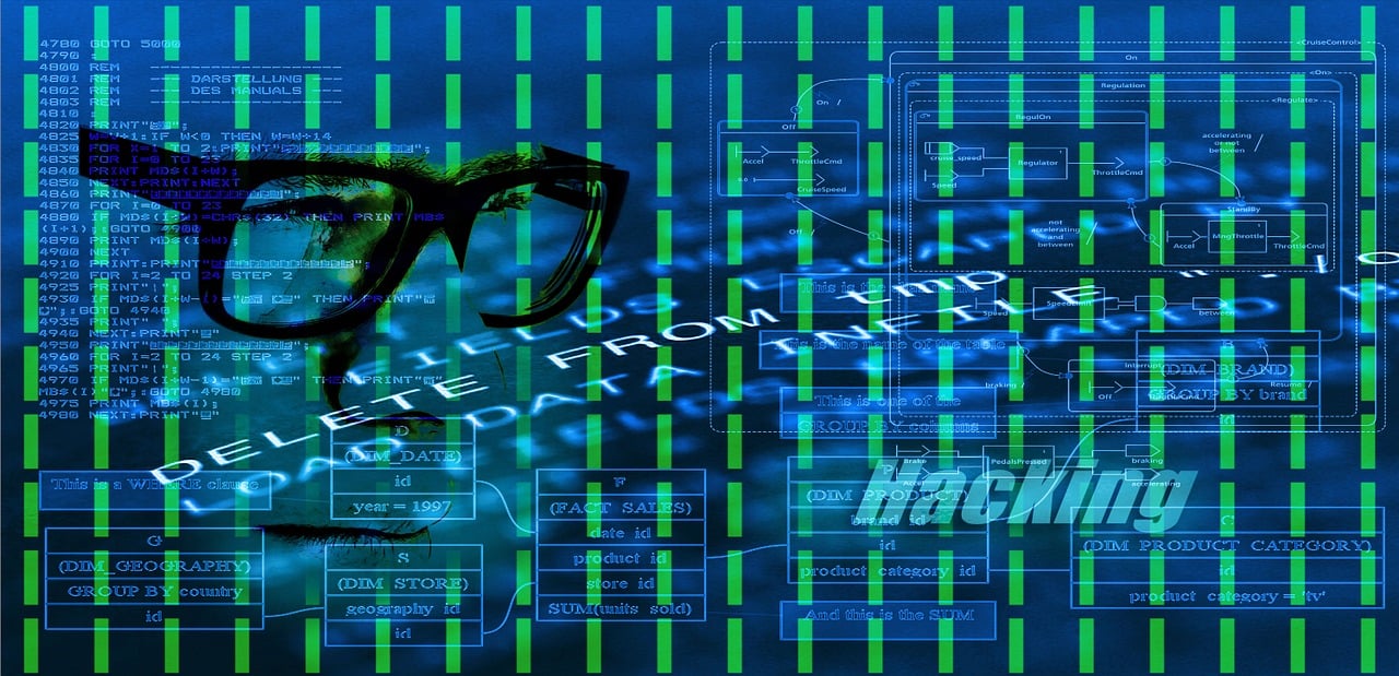 澳门六肖王今晚开奖结果查询，便捷、安全、高效的手机版应用指南